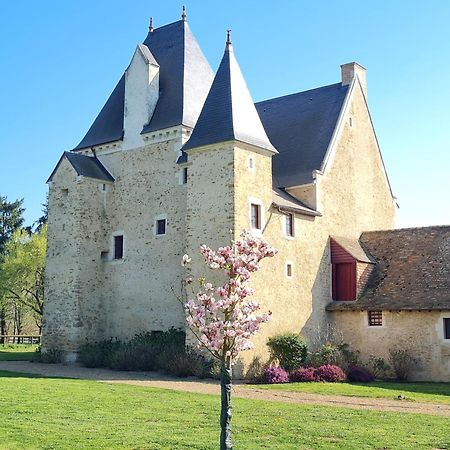 Manoir De La Beuneche - Location Du Manoir Entier Roeze-sur-Sarthe Exteriér fotografie