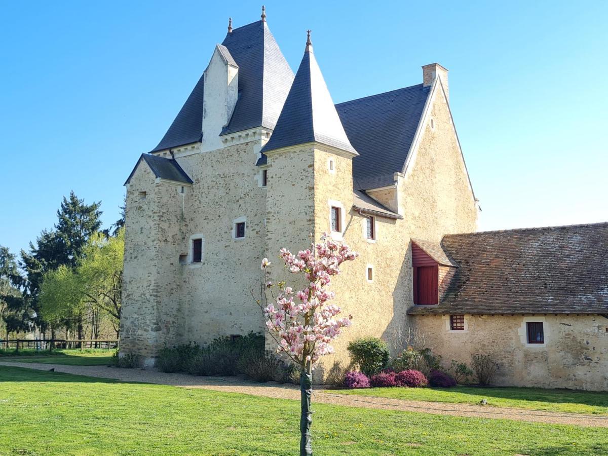 Manoir De La Beuneche - Location Du Manoir Entier Roeze-sur-Sarthe Exteriér fotografie