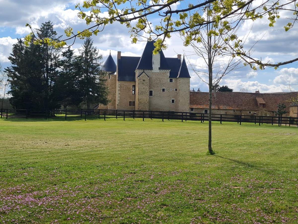 Manoir De La Beuneche - Location Du Manoir Entier Roeze-sur-Sarthe Exteriér fotografie